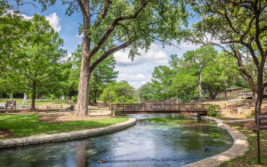 Dog Friendly Activities in New Braunfels