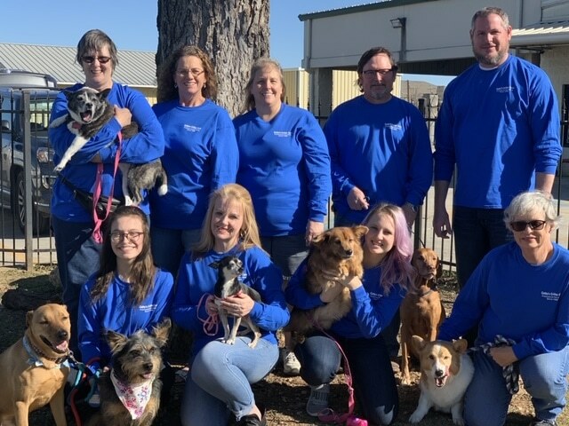 Group of volunteers with dogs outdoors.