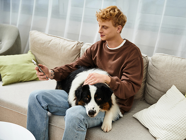 Person petting dog on couch, looking at phone.