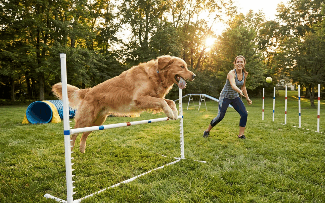How Much Exercise Does My Dog Need?